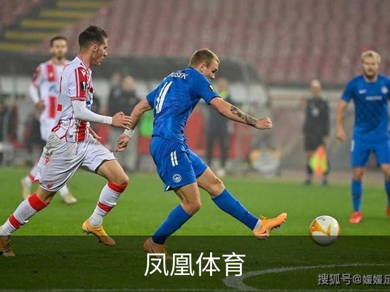 凤凰体育简介